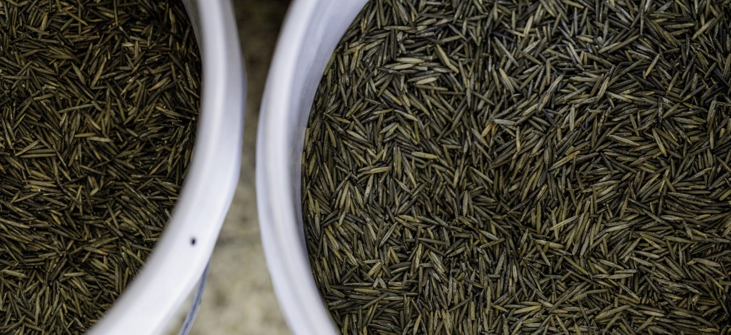 Welcome to the Finland Food Chain's Wild Rice Project