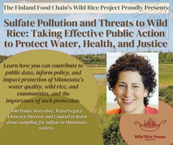 WILD RICE AND SULFIDE MINING WHY CITIZEN SCIENCE SAMPLING FOR SULFATE IN MINNESOTA MATTERS